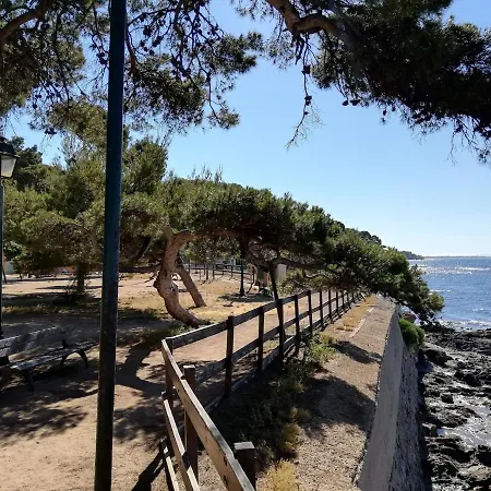 Lägenhet Duplex Vue - Clim & Wifi - Proche Plages Carqueiranne